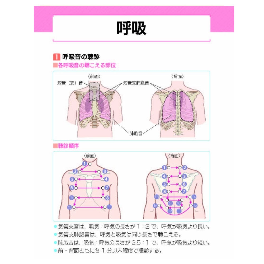 臨床で役立つ看護アセスメント　スケール&ツール