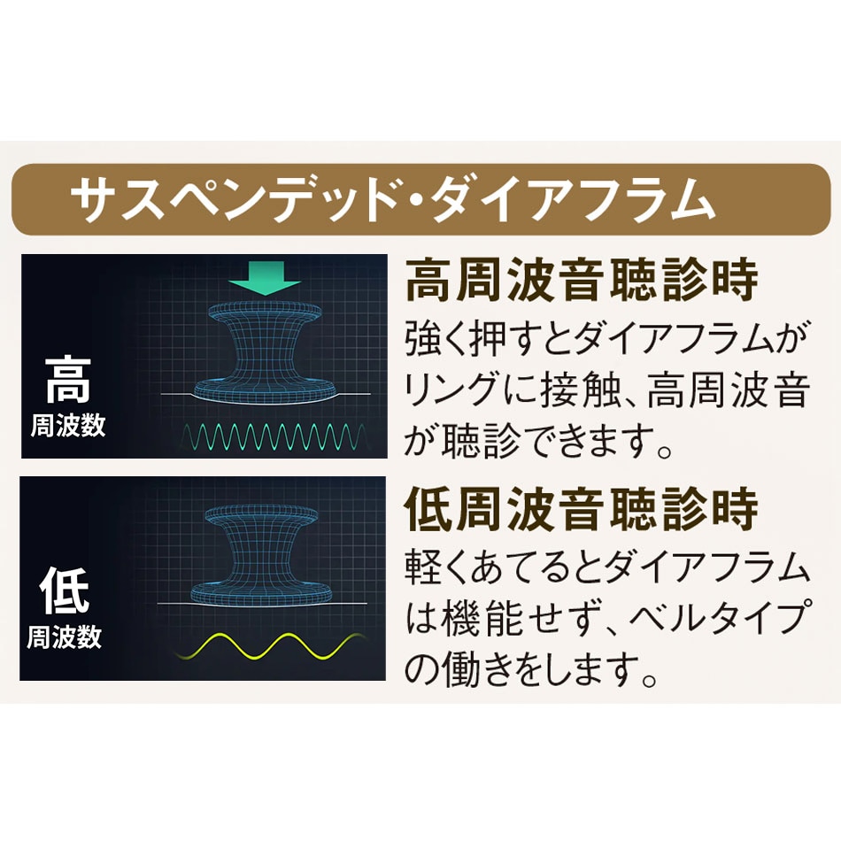 3Mリットマン(R)マスターカーディオロジー(TM) ステソスコープ(聴診器)