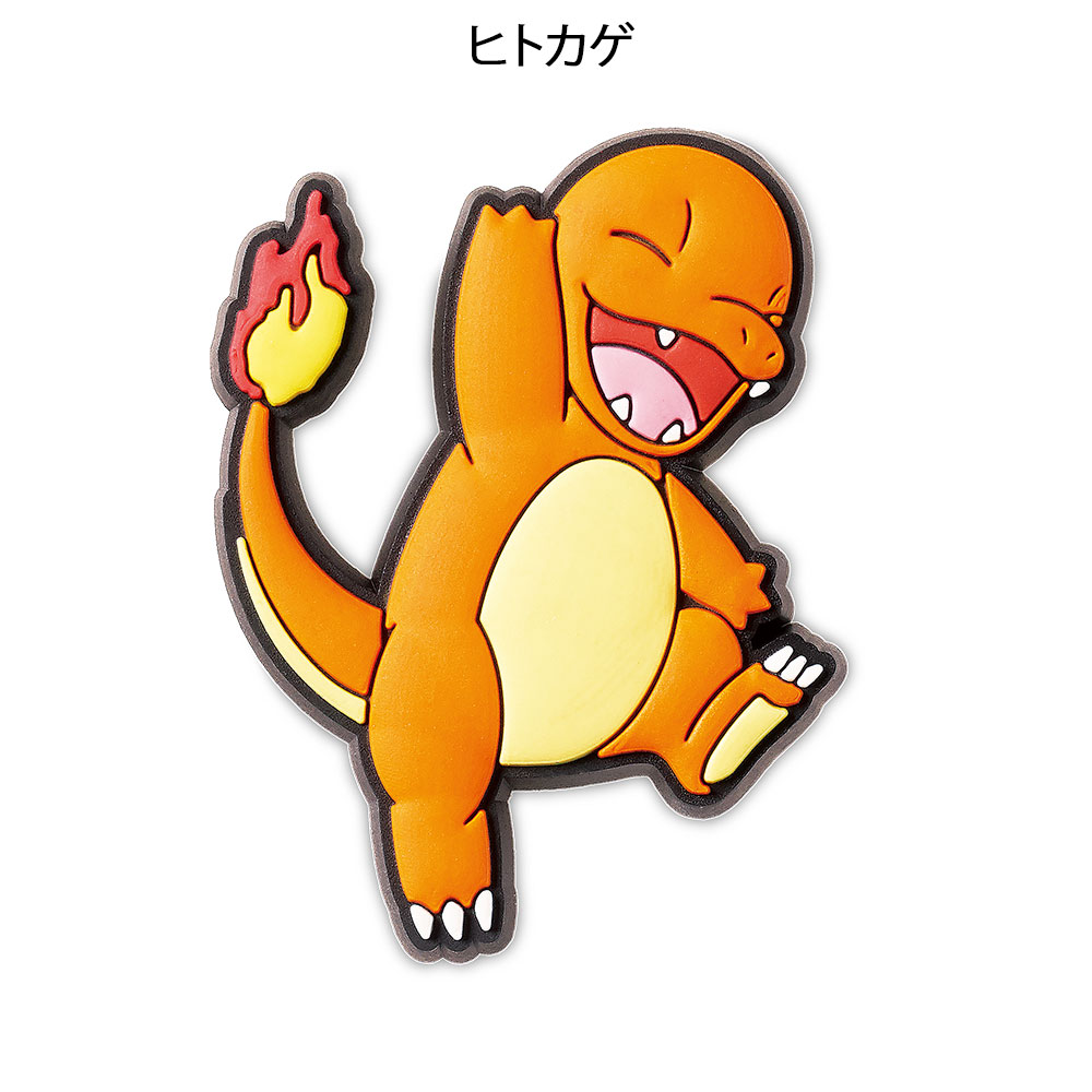 ポケモン ジビッツチャーム