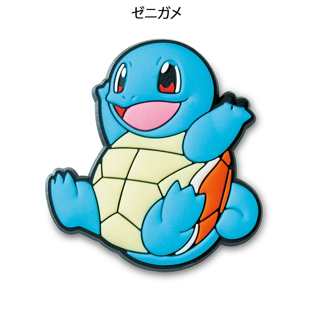 ポケモン ジビッツチャーム