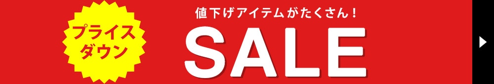 プライスダウン_SALE