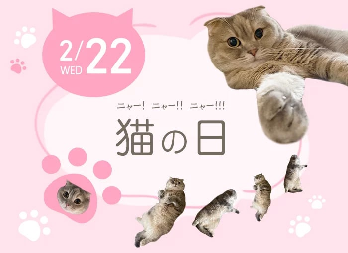 猫の日