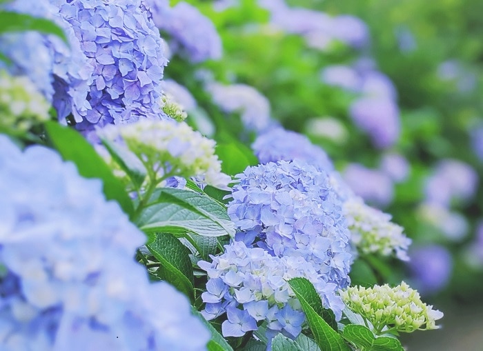 心理テスト「雨の日のエピソード」