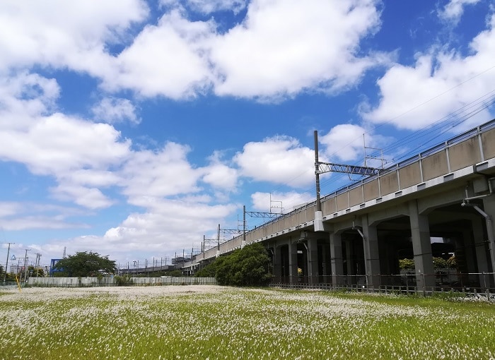 心理テスト「建設予定は・・・？」